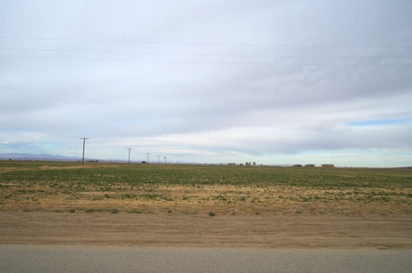 Enlarge photo 44