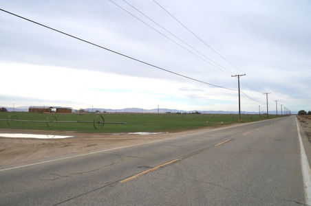 Enlarge photo 48