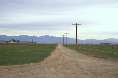 Enlarge photo 58