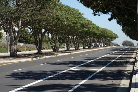 Enlarge photo 39
