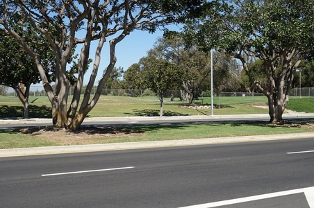 Enlarge photo 43