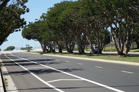 Enlarge photo 46