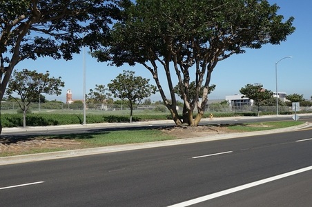 Enlarge photo 49