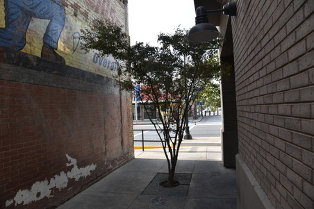 Enlarge photo 8