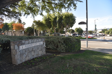 Enlarge photo 62
