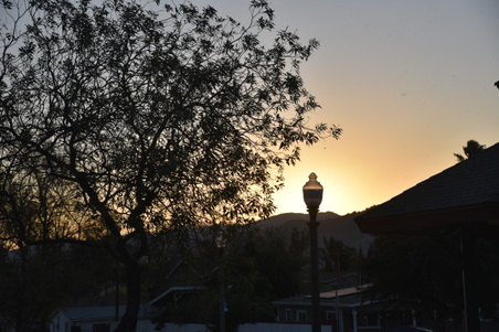 Enlarge photo 32