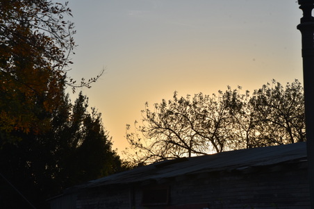 Enlarge photo 46