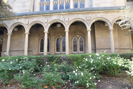Enlarge photo 21