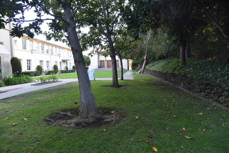 Enlarge photo 78