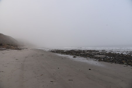 Leo Carillo