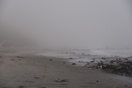 Beaches