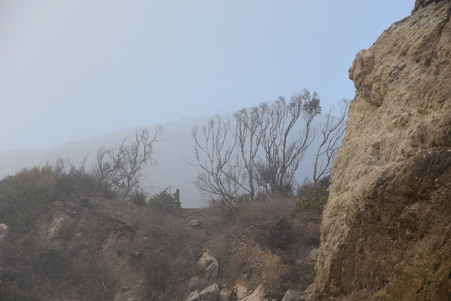 Enlarge photo 30