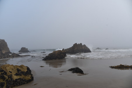 Enlarge photo 31