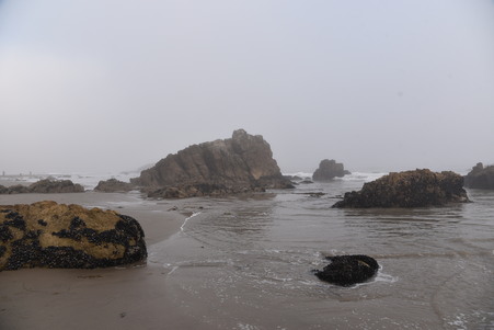Enlarge photo 34