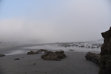 Enlarge photo 39