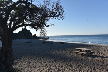 Enlarge photo 2