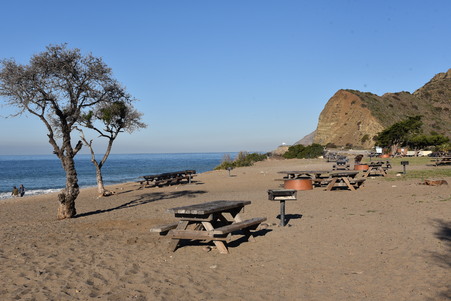Sycamore Cove