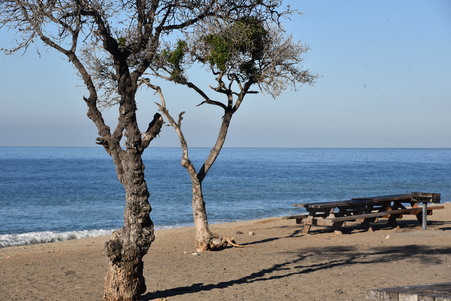 Enlarge photo 5
