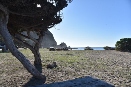 Enlarge photo 57