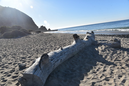 Enlarge photo 61