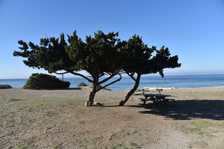 Enlarge photo 73