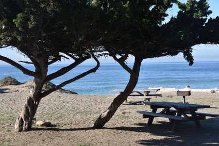 Enlarge photo 74