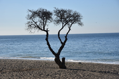 Enlarge photo 77