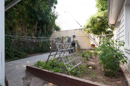 Enlarge photo 73