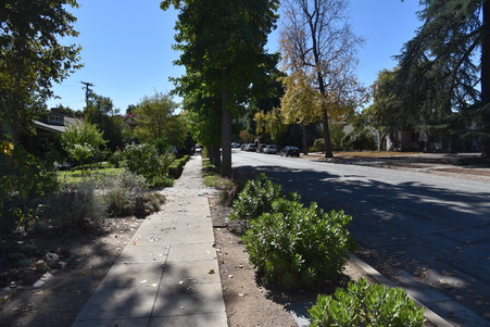 Enlarge photo 19