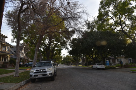 Enlarge photo 12