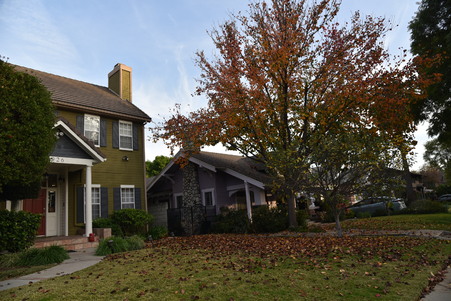 Enlarge photo 19