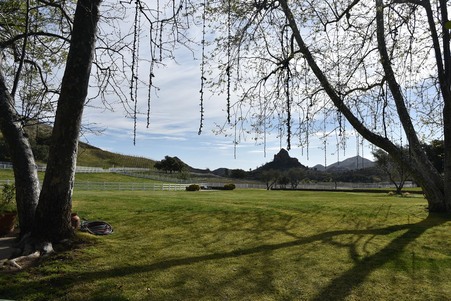 Enlarge photo 7