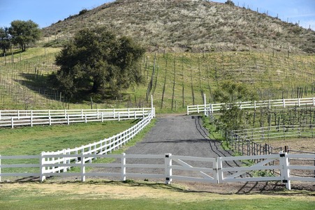 Enlarge photo 27