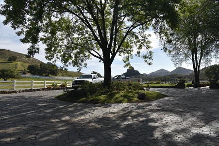 Enlarge photo 37