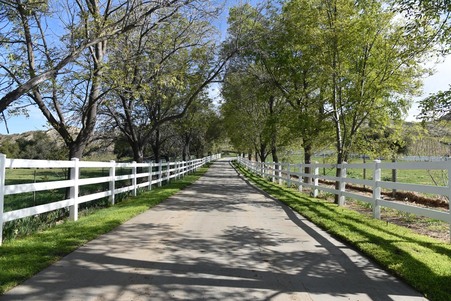Enlarge photo 43
