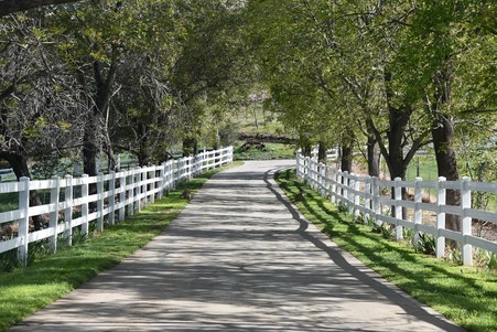 Enlarge photo 44