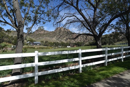 Enlarge photo 46