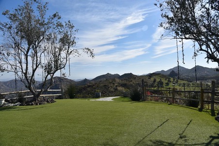 Enlarge photo 52