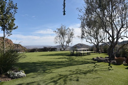 Enlarge photo 73