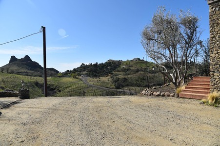 Enlarge photo 75