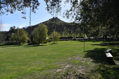 Enlarge photo 108