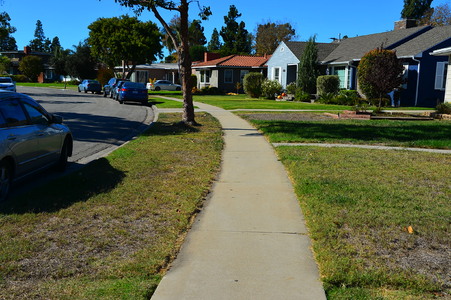 Enlarge photo 25