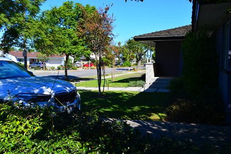 Enlarge photo 33