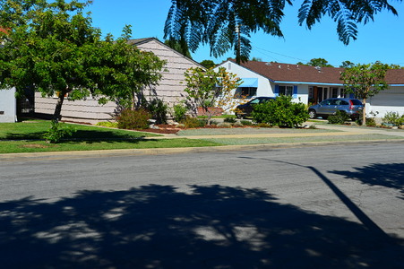 Enlarge photo 37