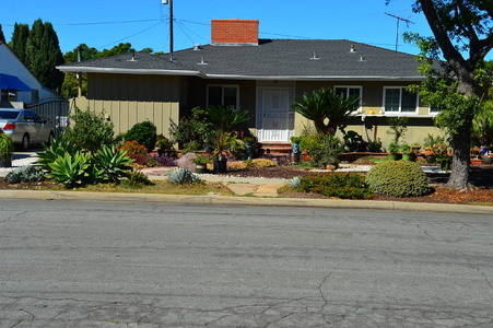 Enlarge photo 43