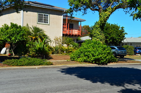 Enlarge photo 44