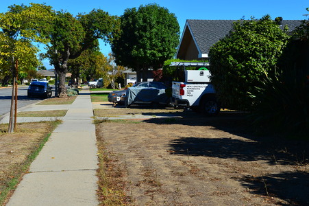 Enlarge photo 47