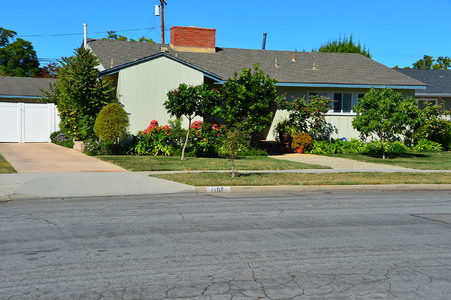 Enlarge photo 50