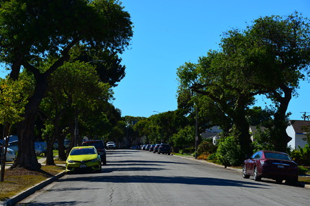 Enlarge photo 57