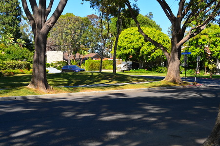 Enlarge photo 31